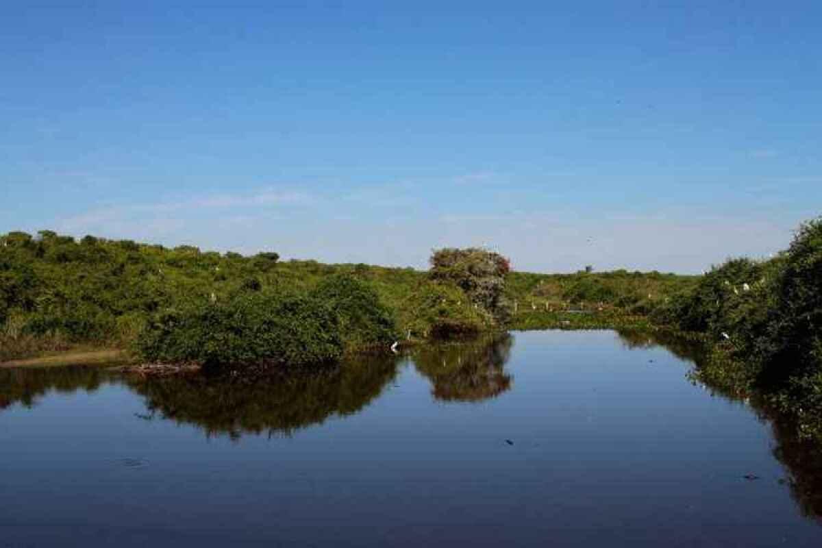 Justi A Suspende Decis O Que Impedia Licenciamentos No Pantanal E No