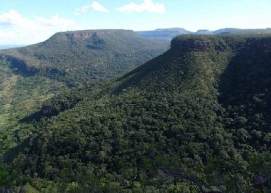 Fazendeiro é acusado de causar dano, direto e indireto, ao Parque Estadual Serra Ricardo Franco