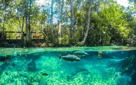 Estudo mostra origem de nomes de rios em município de Mato Grosso