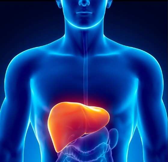 Cuiabá registra 120 pacientes em tratamento contra hepatites virais