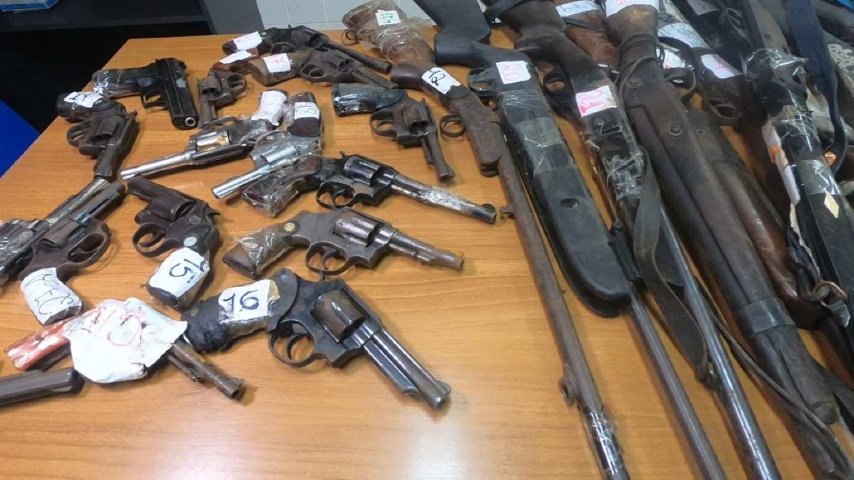 armas apreendidas