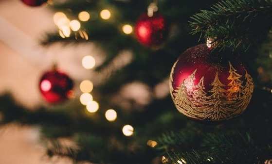 concurso de natal mt