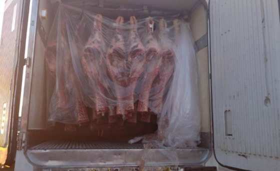 carne