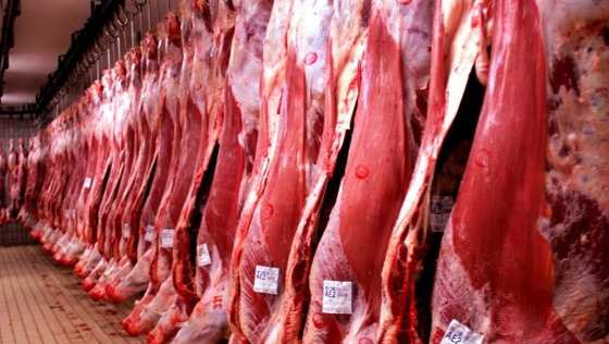 exportação da carne-images