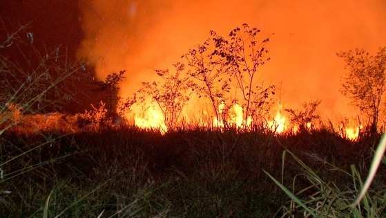 Suspeito afirmou que não sabia de qualquer queimada no local