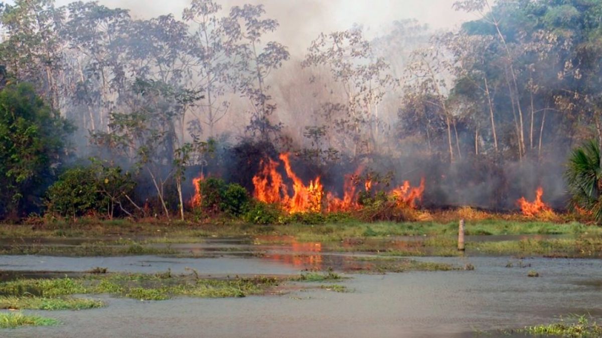 incêndios no Pantanal