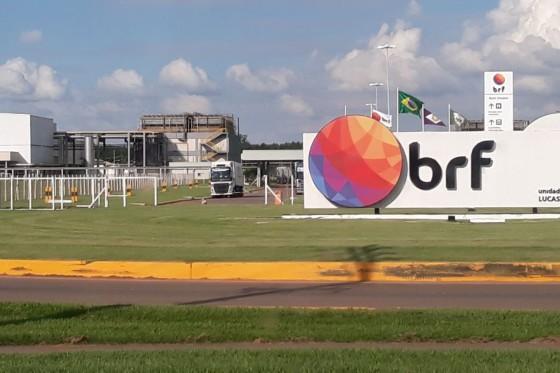 BRF-lucas do Rio Verde