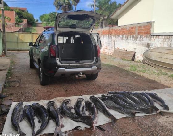 pescado