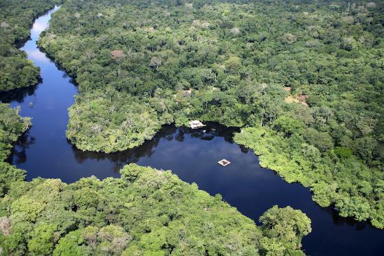 floresta amazônica