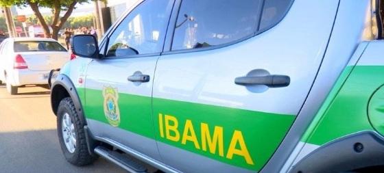 Objetivo é facilitar o acompanhamento dos dados, além de aumentar a transparência