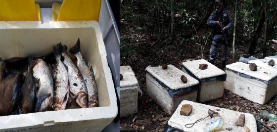 Acampamento para pesca predatória
