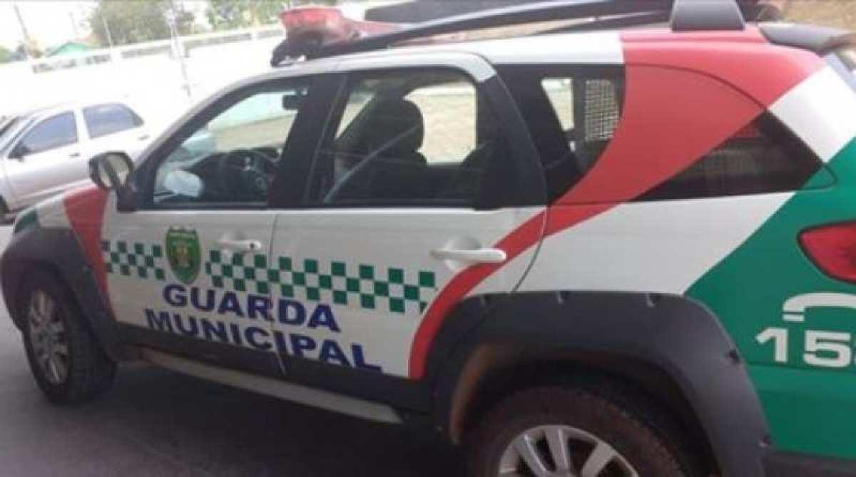 vgnoticias_guarda municipal de VG