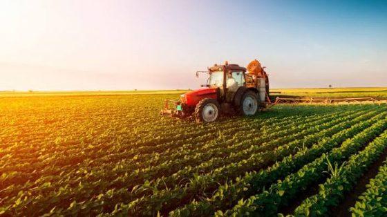 Crédito rural seguro mesmo com alta dos juros, diz ministro da agricultura