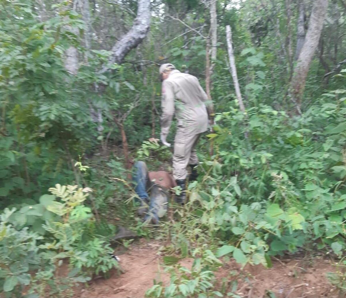 Idoso encontrado em mata