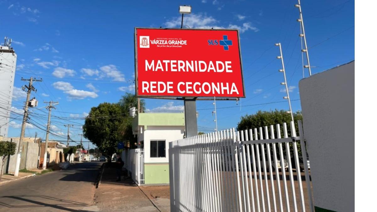 Rede cegonha e maternidade