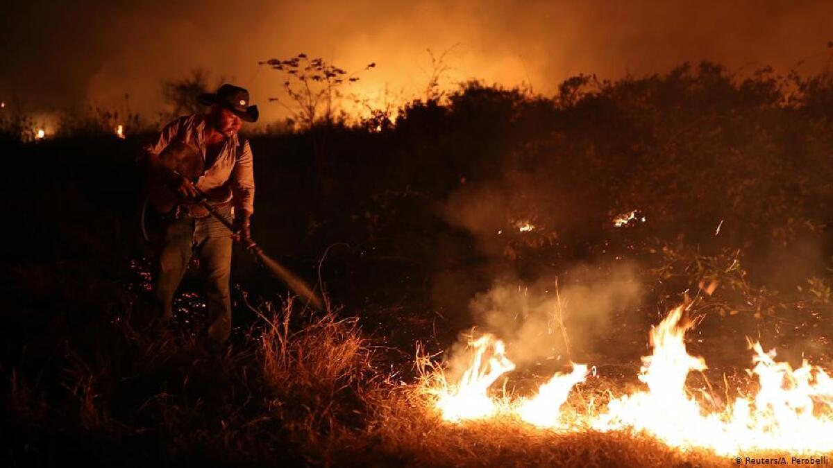 queimadas