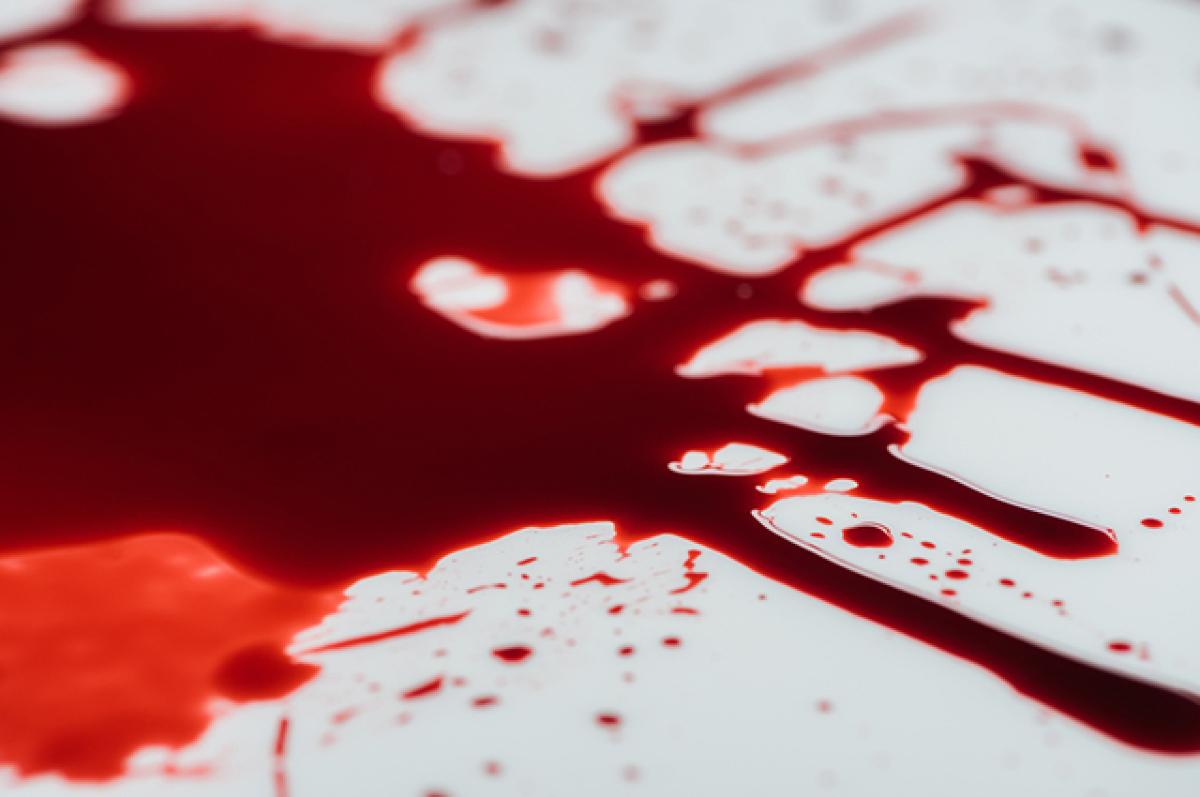 sangue 