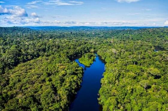 Comissão de Meio Ambiente do Senado vota Estatuto do Pantanal nesta 4ª-feira