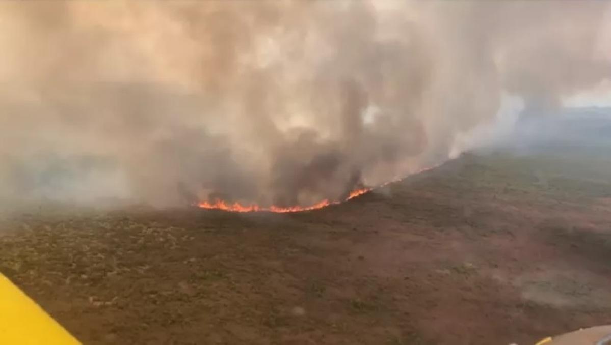 incendio fazenda