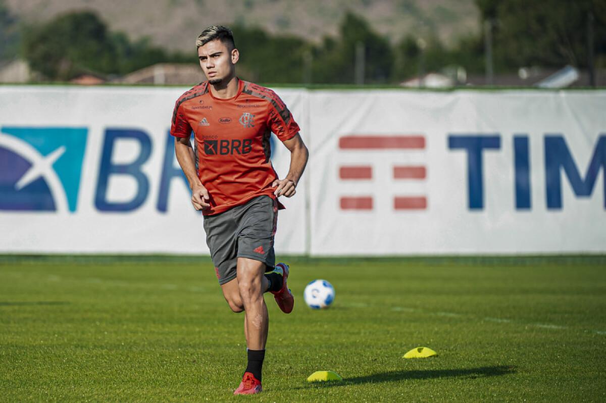 VGN_Andreas Pereira_Flamengo