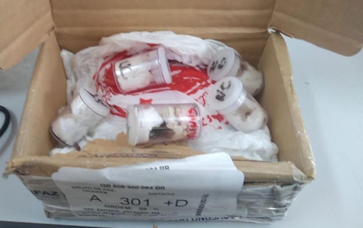 VGN; prisão; apreensão; aranhas; Correios; Cuiabá