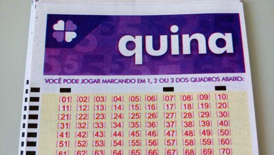 VGN_quina-mt