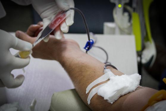 Instituto Mário Cardi Filho realiza campanha para doação de sangue e cadastro de medula
