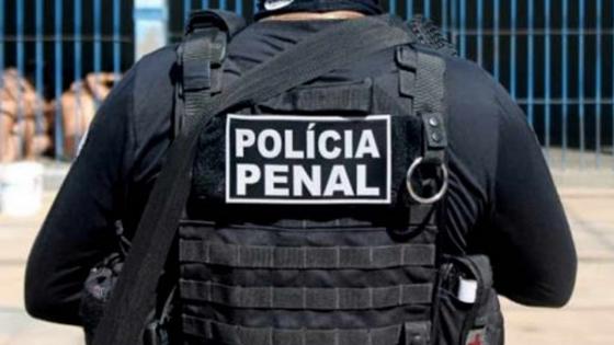 vgn-policial penal-mt