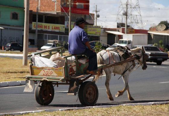 Carroceiro e catadores de materiais recicláveis serão contemplados com auxilio 