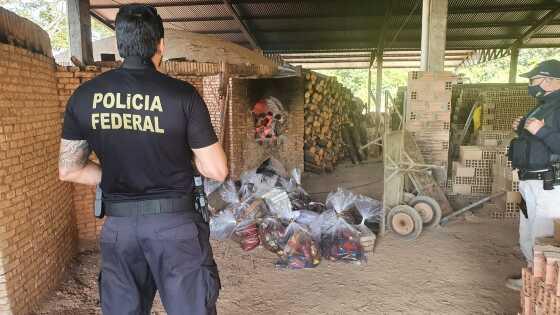 Foram incineradas 73.06 kg de cocaína e 284.36 kg de pasta base 