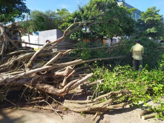 Tempestade em Jaciara deixa rastros de destruição em Ginásio e Terminal Rodoviário