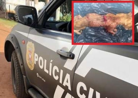 Pitbull é morto com golpes de facão ao atacar cadela vira-lata em Cuiabá