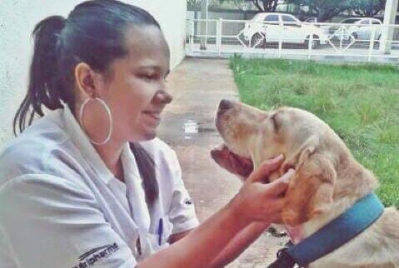morte; acidente; médica veterinária; Lucas do Rio Verde; VGN; 