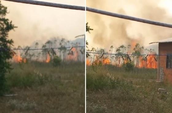 incêndio; matagal; Limpo Grande; Várzea Grande; VGN