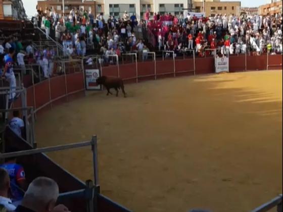 Homem leva chifrada e morre em tourada na Espanha