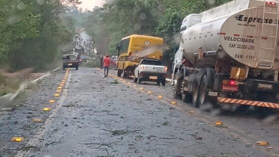 Tempestade de areia e mais de 500 postes derrubados foram registrados em MT.