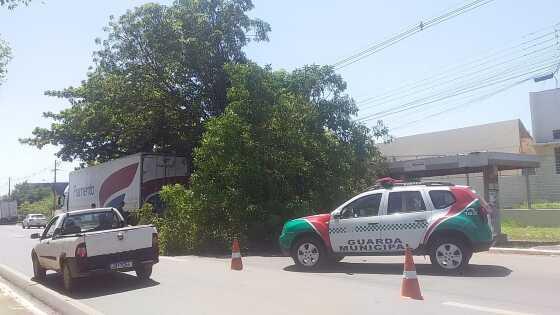 Caminhão e carro são atingidos após queda de árvore em avenida de VG.