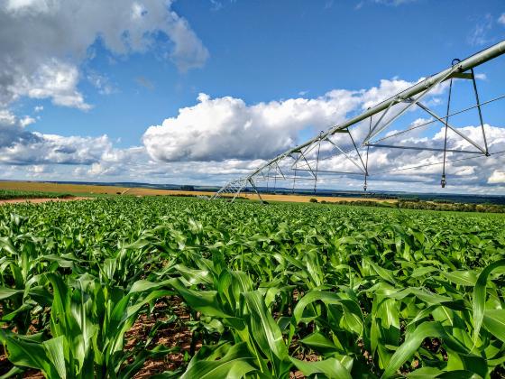 Segundo Lal, o exemplo da agricultura brasileira é uma história de sucesso