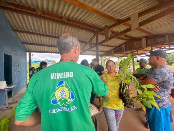 Plantio auxilia pequenos produtores rurais em sua subsistência e amplia as fontes de renda, além de fortalecer o programa de arborização da cidade