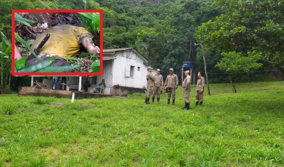 corpo encontrado; idoso; braço dilacerado; zona rural; Santo Antônio do Leverger; VGN 