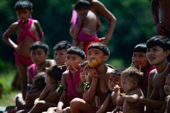 Apenas servidores devem acessar Terra Indígena Yanomami visando resguardar respeito aos povos indígenas