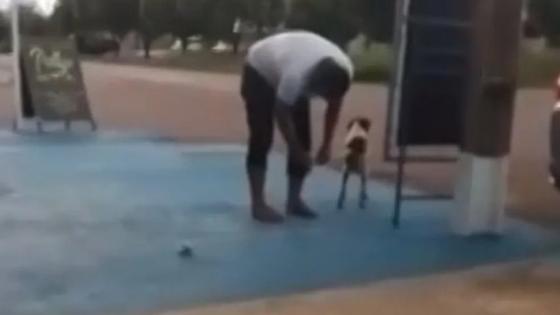 Vereador coloca bomba em cachorrinho e caso tem desfecho horrendo após explosão