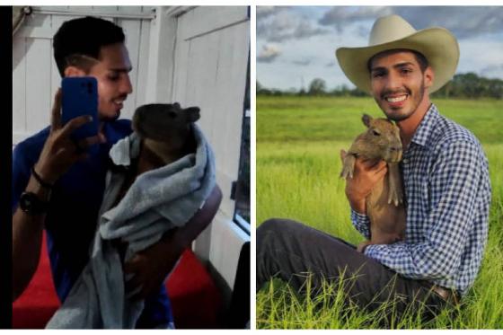 "Pai de capivara" filhote viraliza nas redes sociais e revela
