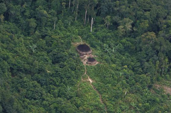 Casos de malária no distrito yanomami dobraram durante governo Bolsonaro