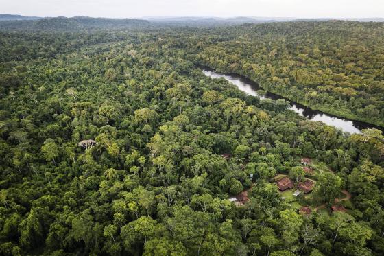 No total, a equipe do AGU Recupera já propôs 34 ações civis públicas para cobrar R$ 479 milhões de desmatadores da Amazônia e do Cerrado