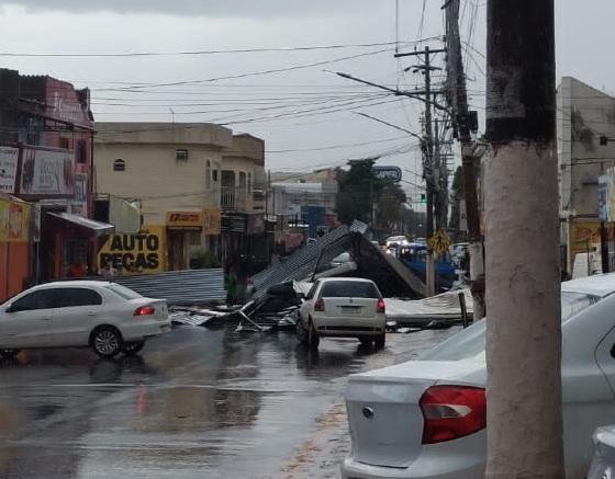 Chuva e ventania derrubam árvores e barracão em VG