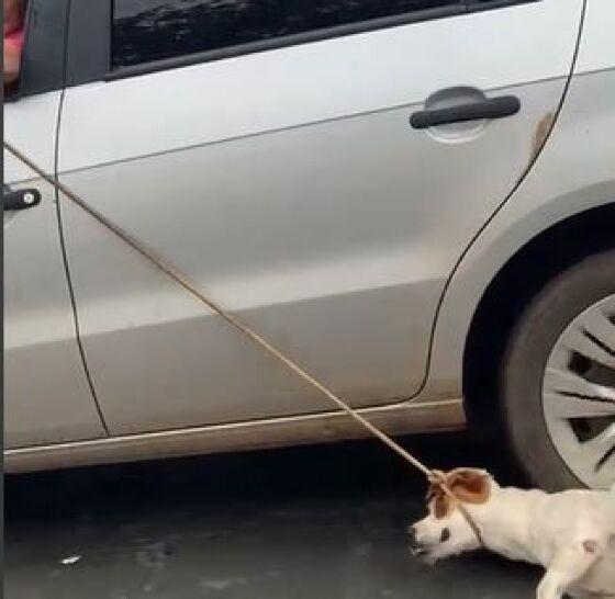 Homem é preso ao ser flagrado arrastando cachorro amarrado no carro