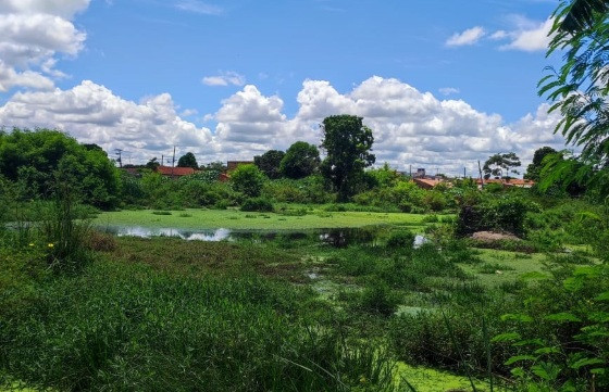 Lagoa do Jacaré, situada no bairro Cristo Rei, em Várzea Grande 