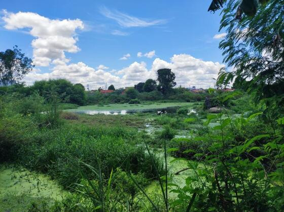 Construção da MRV prevê compensação de R$ 500 mil para urbanização do Parque Lagoa do Jacaré