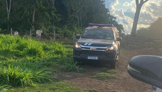 Polícia cumpre buscas para identificar responsável pela decapitação de filhotes de onça-pintada